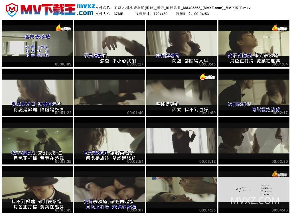 王菀之-迷失表参道(消伴)_粤语_流行歌曲_MA405363